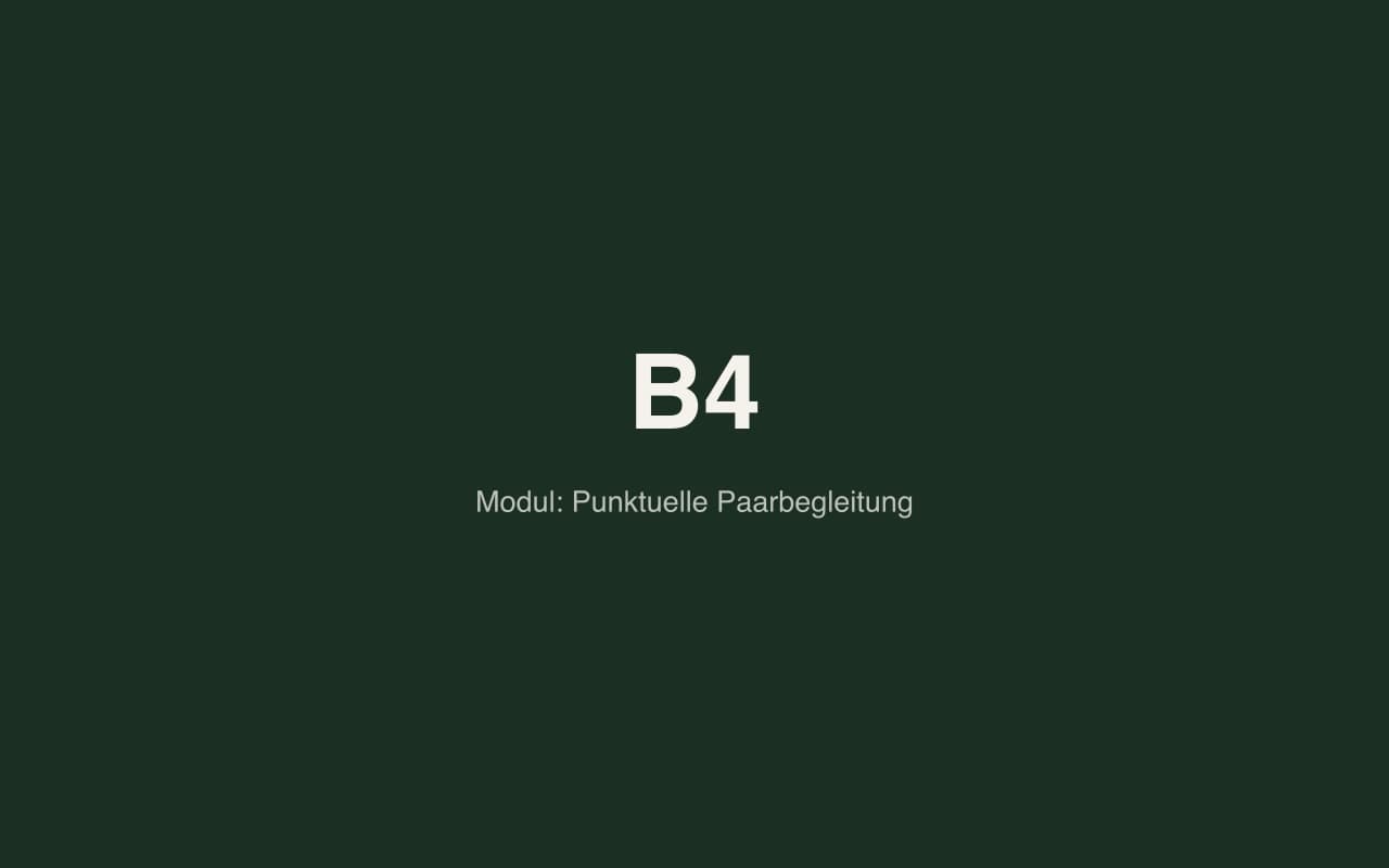 Punktuelle Begleitung