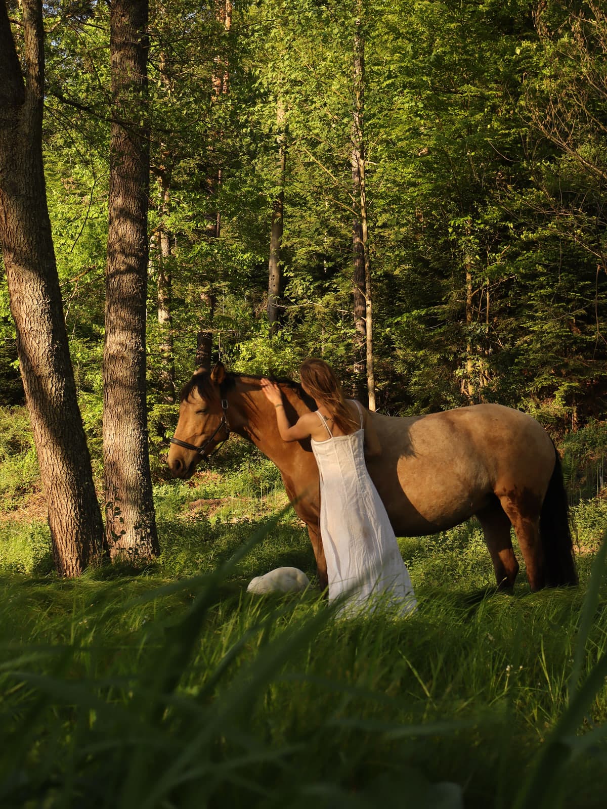 Arbeitssituation mit Therapiepferd in der Natur