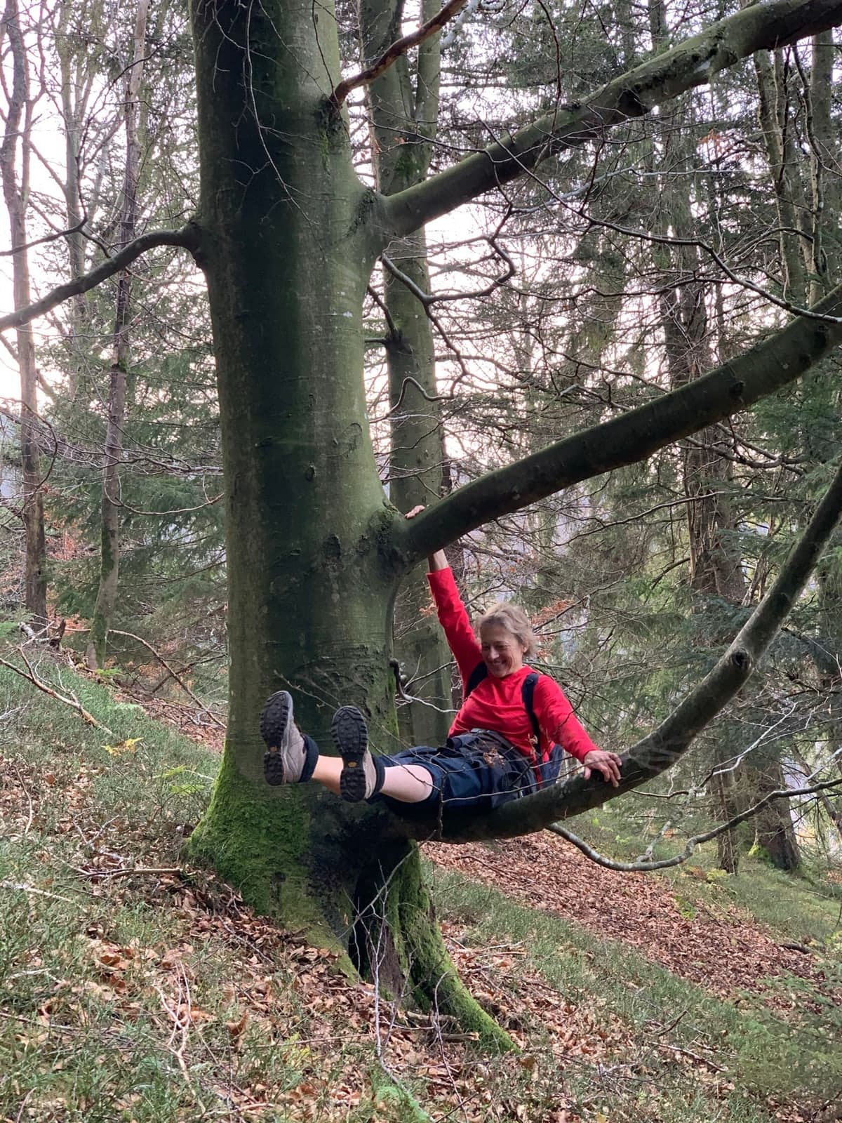 Die Therapeutin in ihrer natürlichen Umgebung im Schwarzwald
