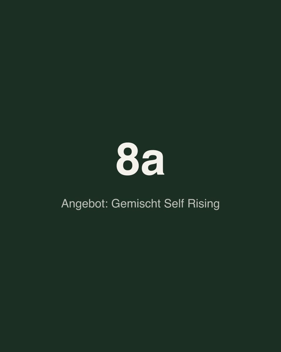 Seminarreihe Gemischt Self Rising