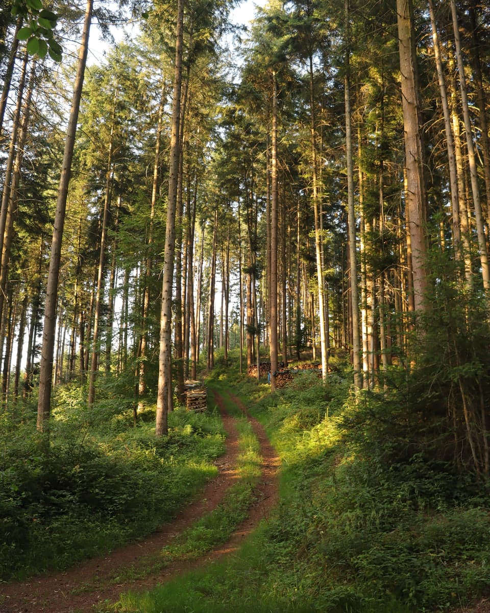 Burnout-Prävention für Firmen — 3-Tages-Seminar